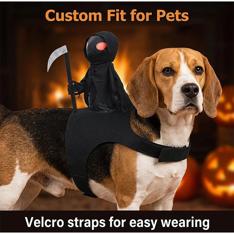 Grim Reaper Rider Outfit Cat Dog Halloween Cosplay
