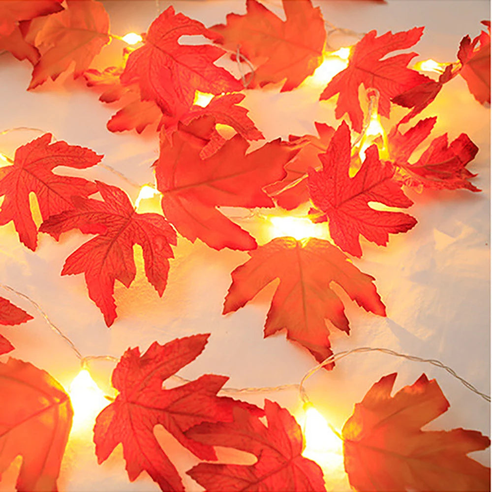 2/3/6M Halloween LED String Lights Garland