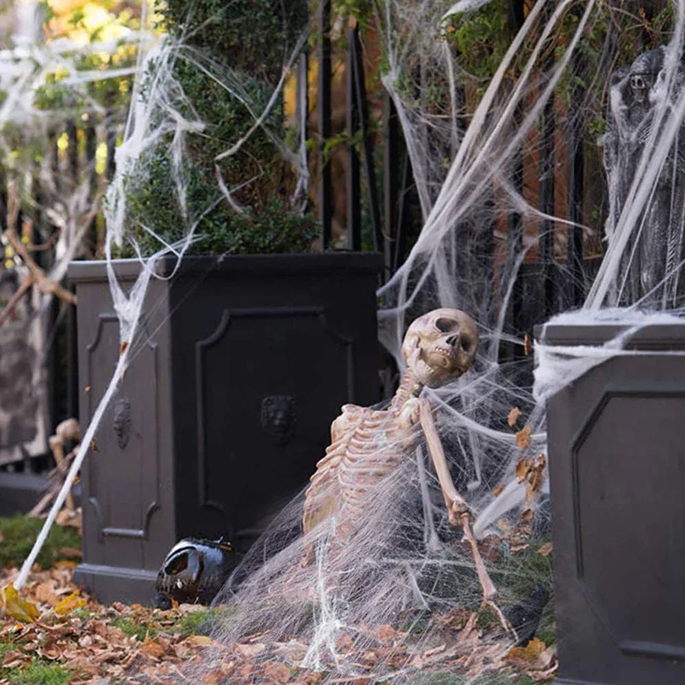 Halloween Spider Web Decoration with Spider, Black, 100g
