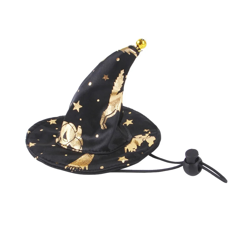 Wizard Witch Cape and Hat Cat Dog Halloween Cosplay