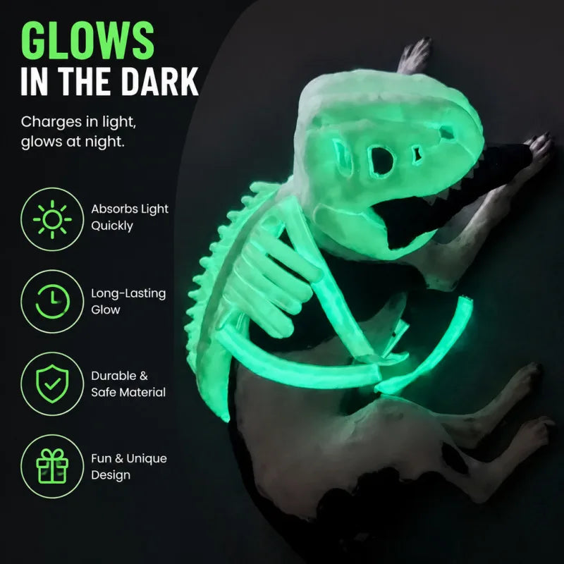 Dinosaur Bodysuit Cat Dog Halloween Cosplay