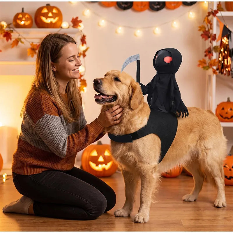 Grim Reaper Rider Outfit Cat Dog Halloween Cosplay