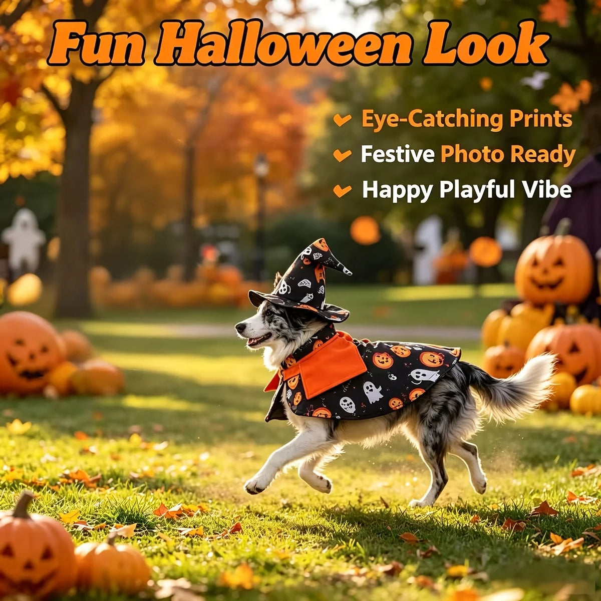 Pumpkin Wizard Cloak and Hat Cat Dog Halloween Cosplay