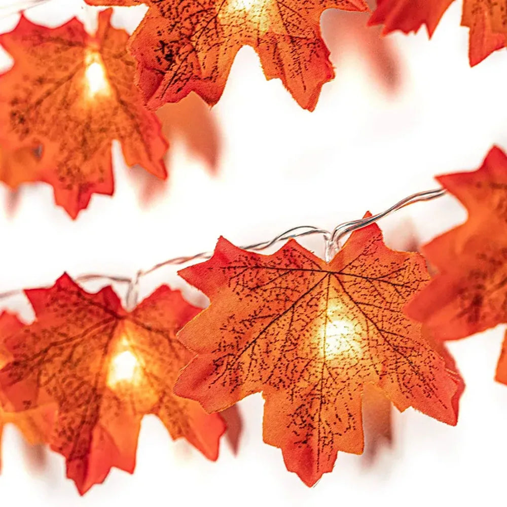 2/3/6M Halloween LED String Lights Garland