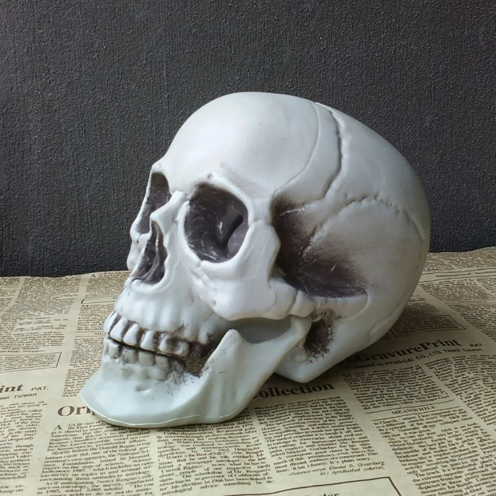 Realistic Plastic Skull Prop Halloween Cosplay