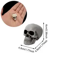 Realistic Plastic Skull Prop Halloween Cosplay