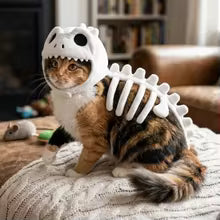 Dinosaur Skeleton Hoodie Cat Dog Halloween Cosplay