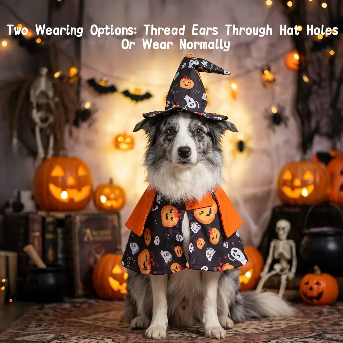Pumpkin Wizard Cloak and Hat Cat Dog Halloween Cosplay