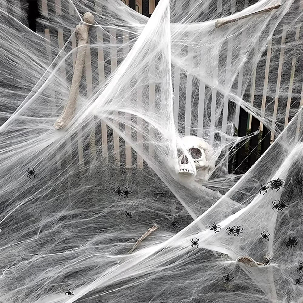 Halloween Spider Web Decoration with Spider, Black, 100g