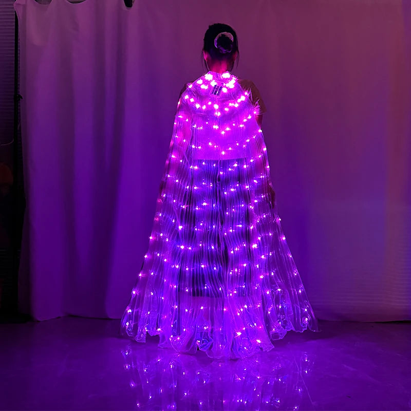 LED Butterfly Wings Belly Dance Rave Halloween Cosplay