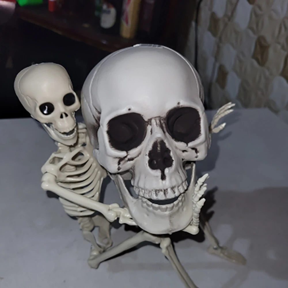 Realistic Plastic Skull Prop Halloween Cosplay