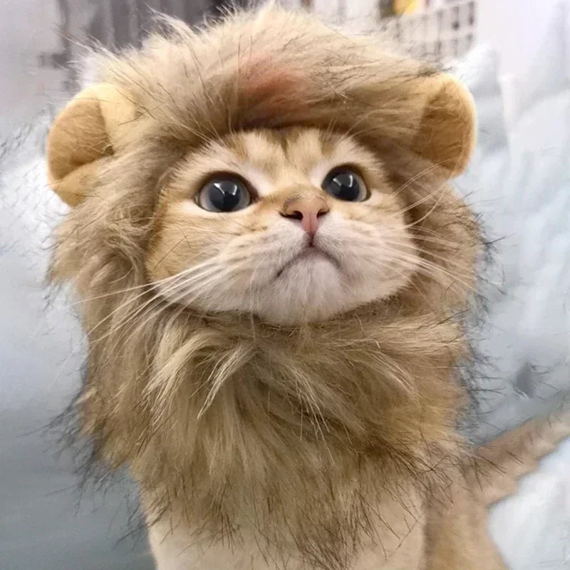 Lion Mane Hat Cat Dog Halloween Cosplay