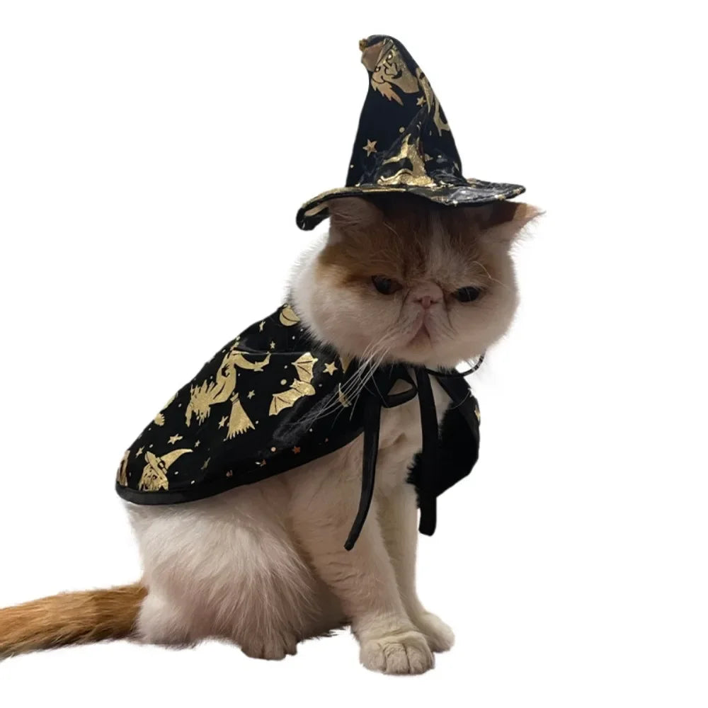 Wizard Witch Cape and Hat Cat Dog Halloween Cosplay