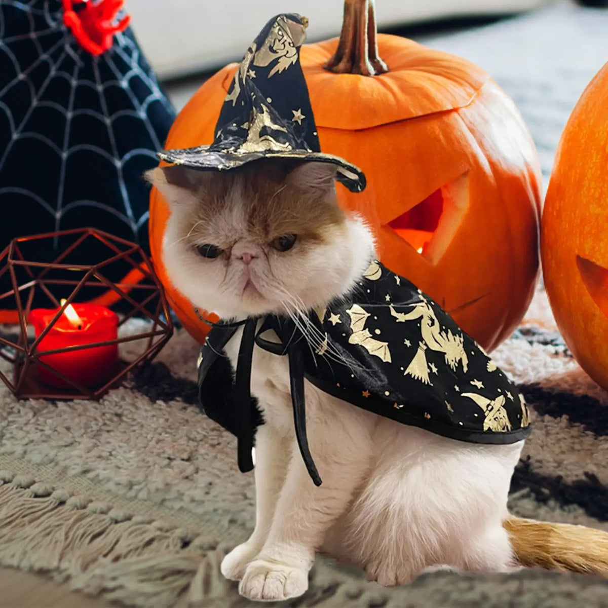 Cat Witch Cloak Hat Pet Halloween Cosplay