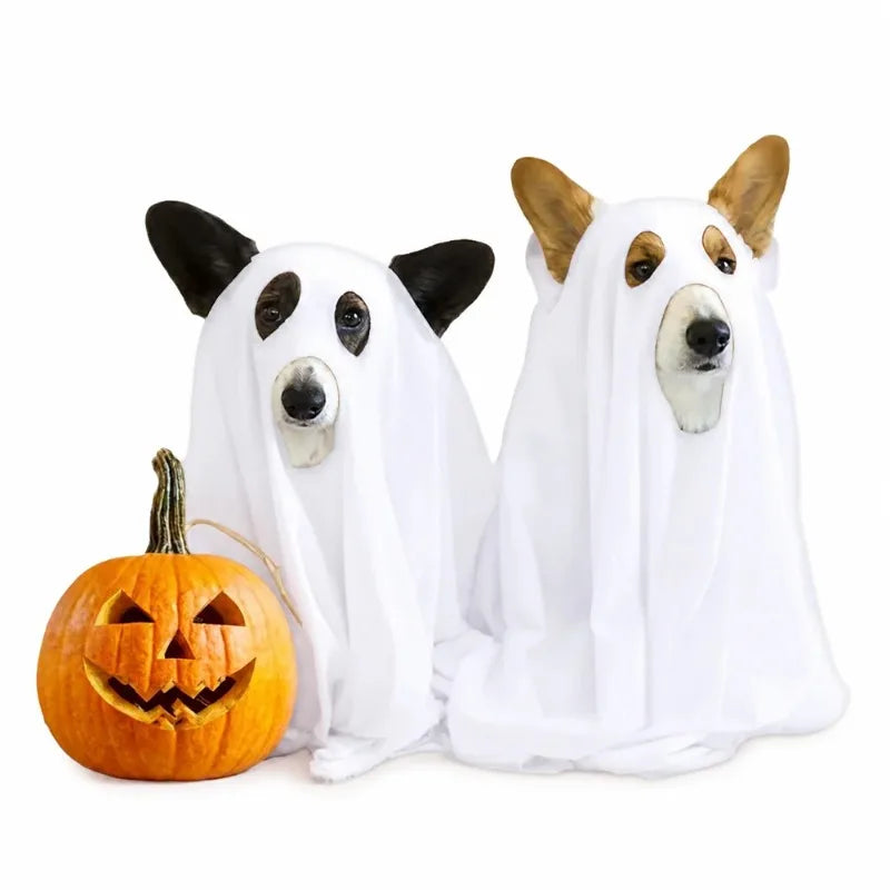 1Pc Halloween Ghost Shape Lightweight Elastic Dog Ghost Cloth Multi-color Fun Party Outfit for Small and Medium-sized Dogs