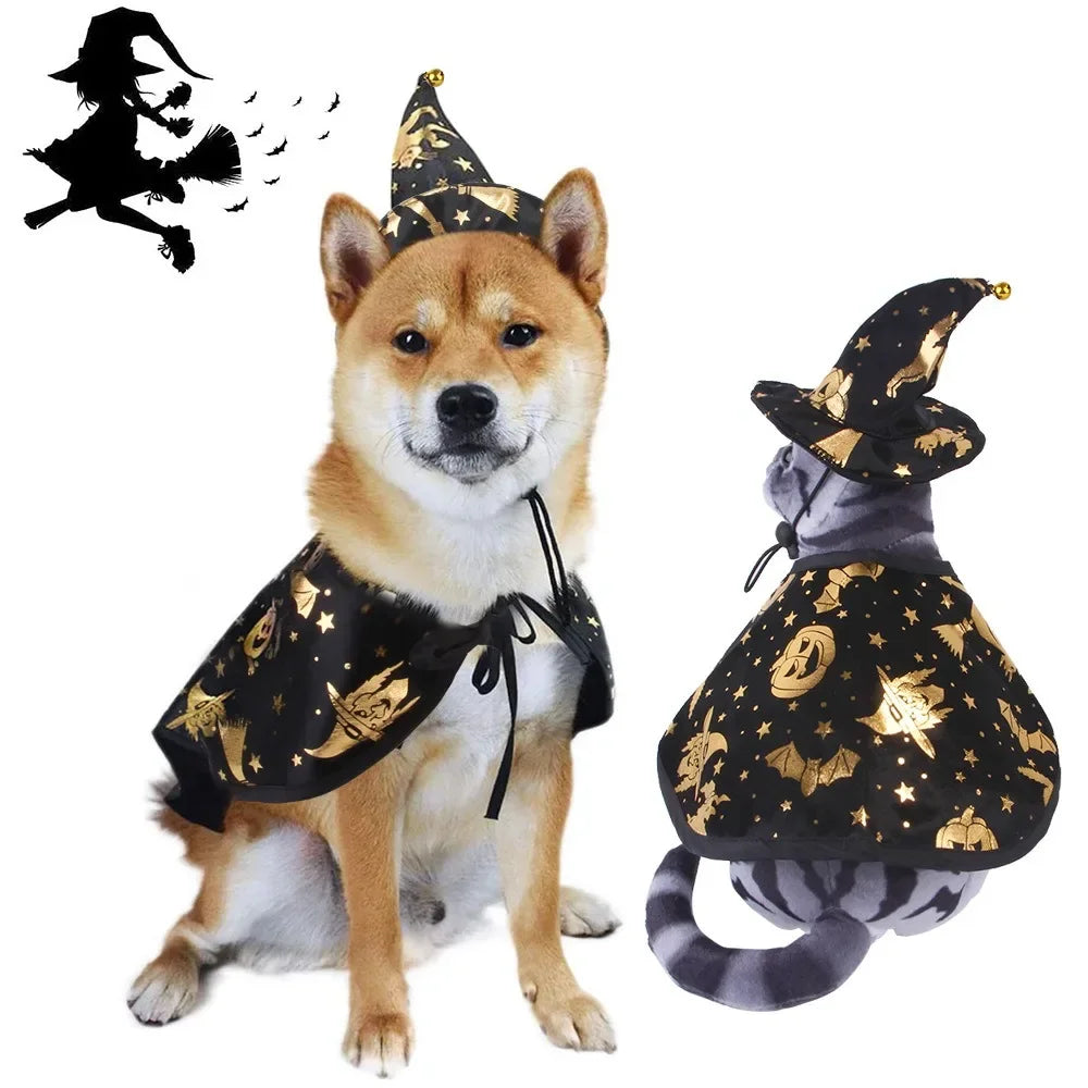 Wizard Witch Cape and Hat Cat Dog Halloween Cosplay