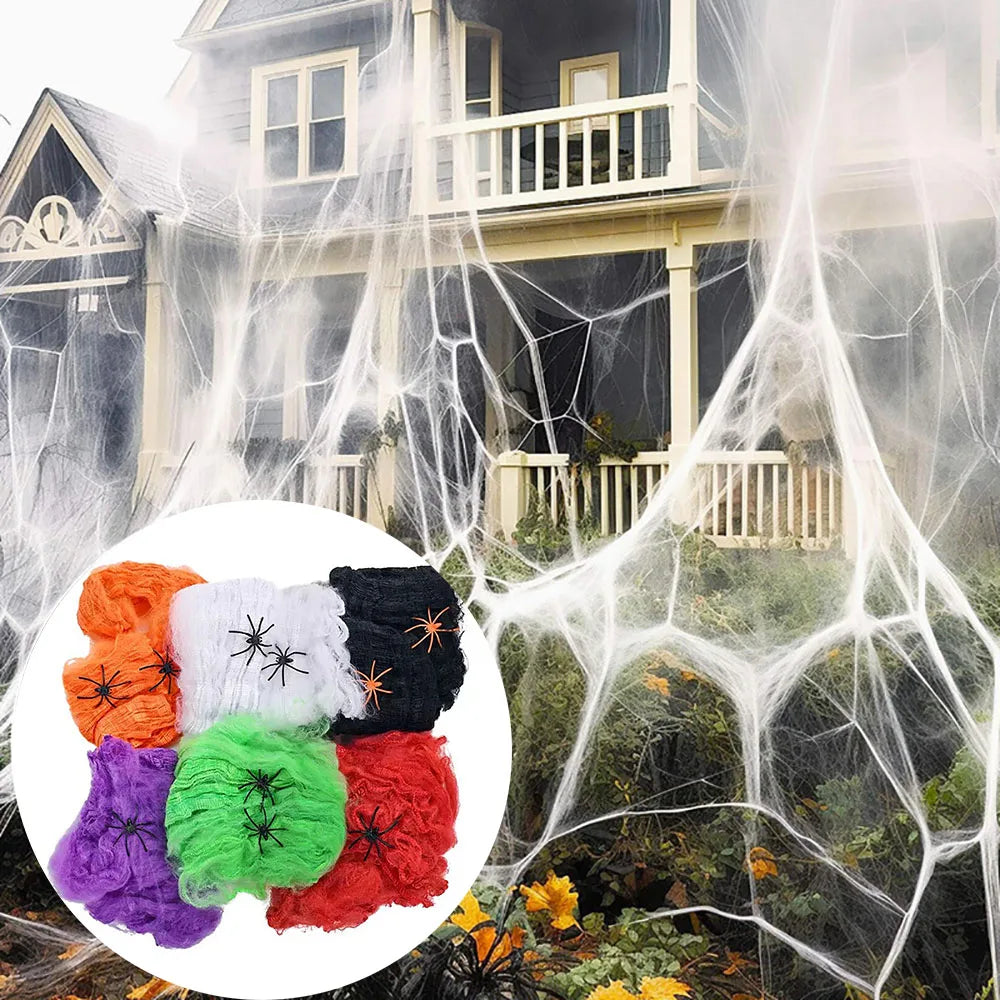Halloween Spider Web Decoration with Spider, Black, 100g