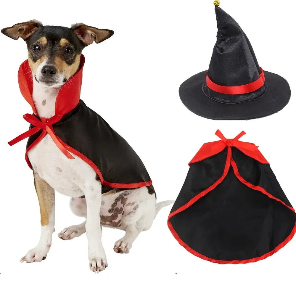 Wizard Witch Cape and Hat Cat Dog Halloween Cosplay