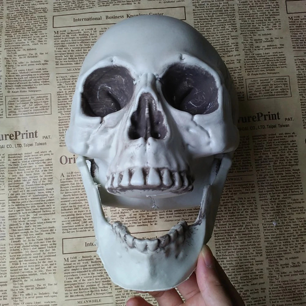 Realistic Plastic Skull Prop Halloween Cosplay