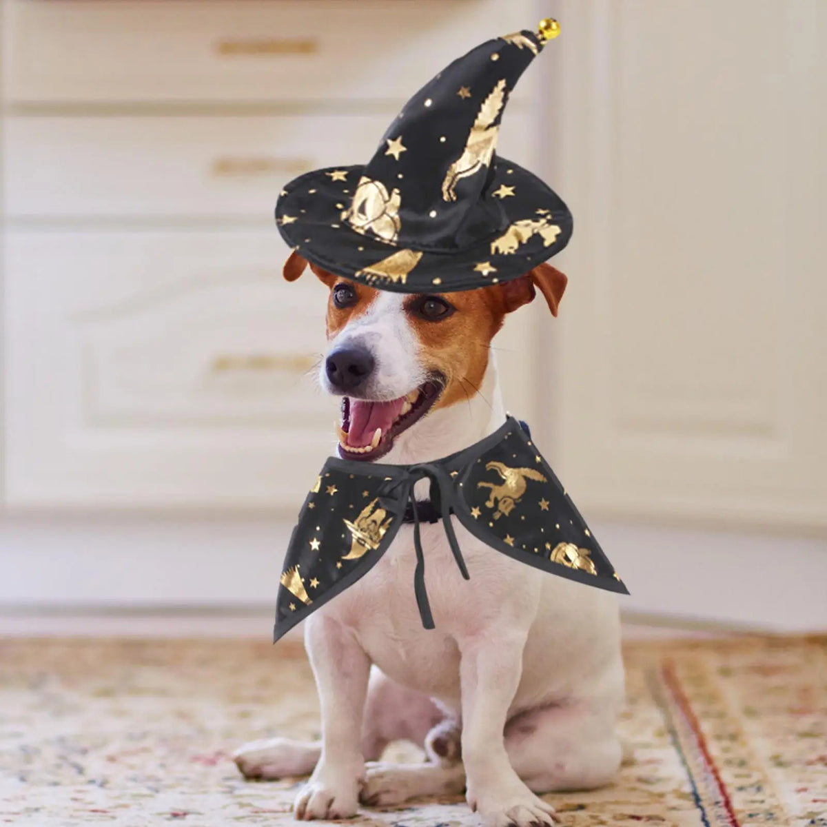 Cat Witch Cloak Hat Pet Halloween Cosplay