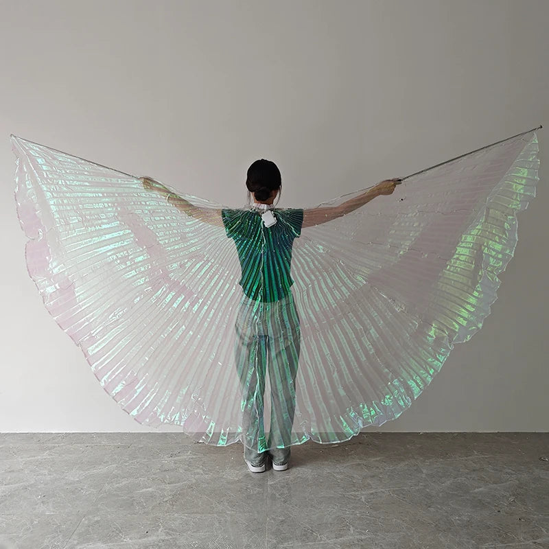 LED Butterfly Wings Belly Dance Rave Halloween Cosplay