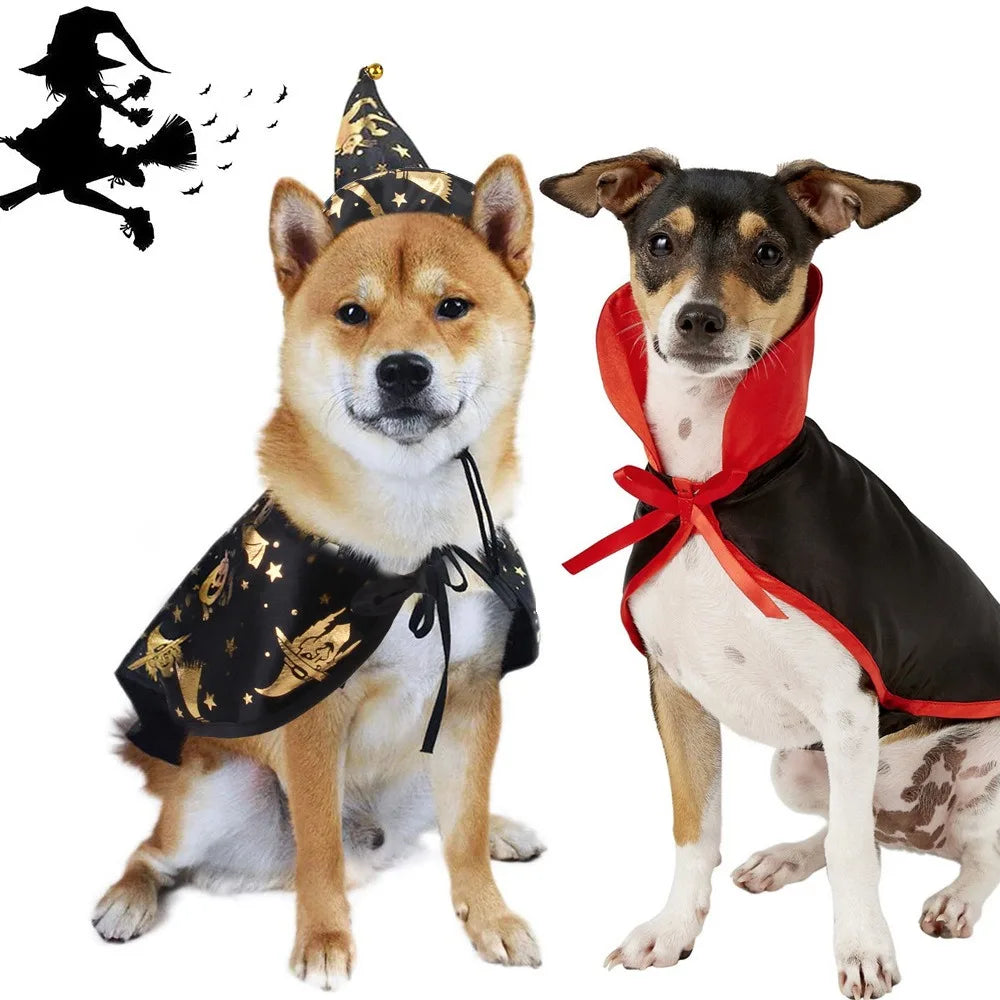 Wizard Witch Cape and Hat Cat Dog Halloween Cosplay