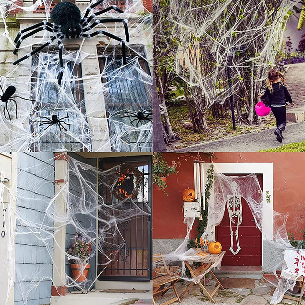 Halloween Spider Web Decoration with Spider, Black, 100g