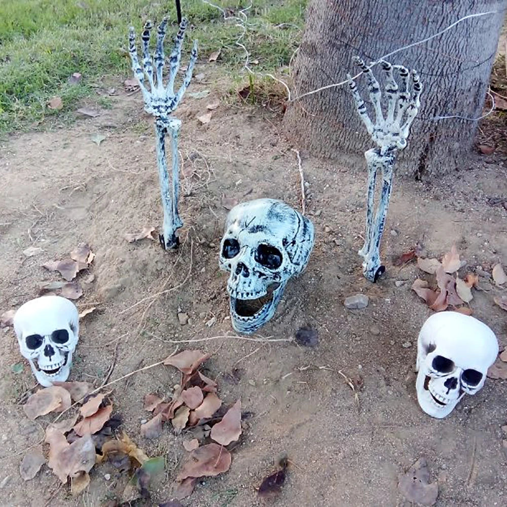 Realistic Plastic Skull Prop Halloween Cosplay